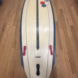 5’8 Al Merrick Fish