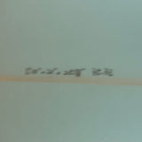 5’10 SNS Custom Fish