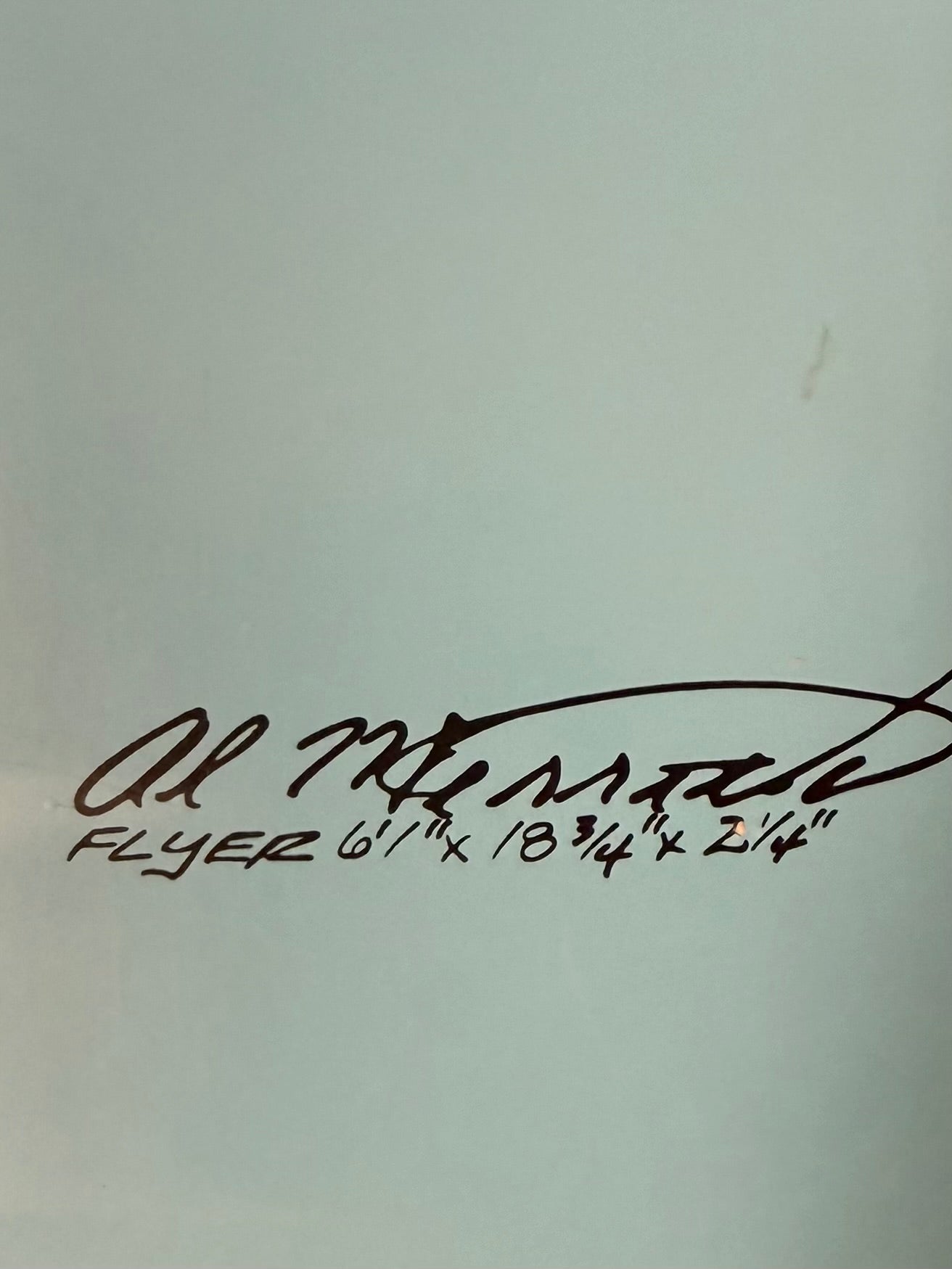 6’1 Al Merrick Flyer